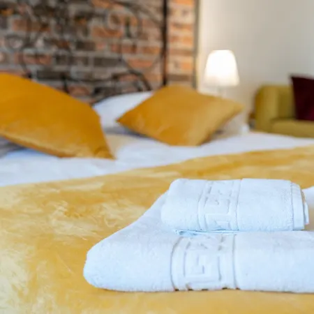 Cozy Spacious 5 Star In The Heart Of Historic Center Daire Kaloşvar