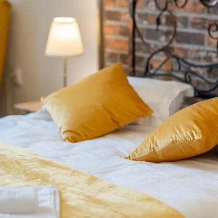 Cozy Spacious 5 Star In The Heart Of Historic Center Kaloşvar