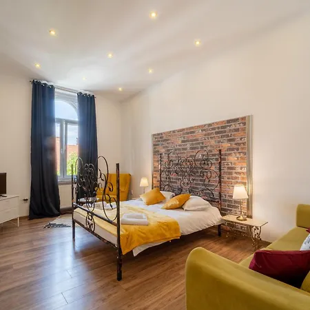 Cozy Spacious 5 Star In The Heart Of Historic Center * Cluj-Napoca