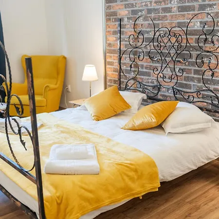Cozy Spacious 5 Star In The Heart Of Historic Center * Cluj-Napoca