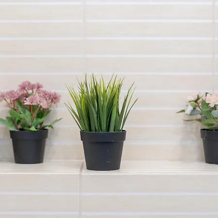 דירה Cozy Spacious 5 Star In The Heart Of Historic Center *