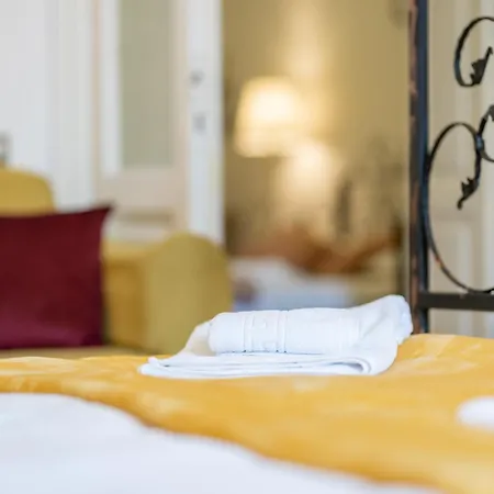 Cozy Spacious 5 Star In The Heart Of Historic Center Kaloşvar