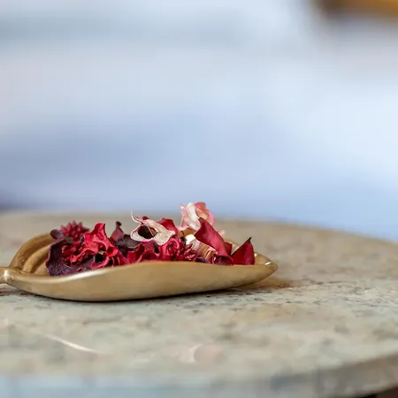 Cozy Spacious 5 Star In The Heart Of Historic Center *