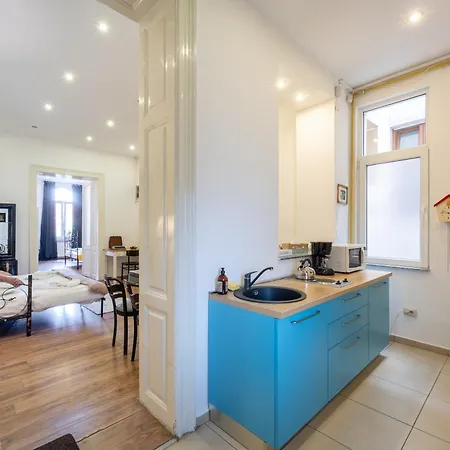 Cozy Spacious 5 Star In The Heart Of Historic Center Daire Kaloşvar