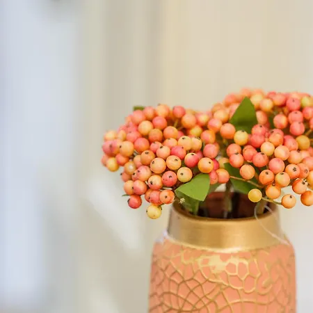 Daire Cozy Spacious 5 Star In The Heart Of Historic Center Kaloşvar