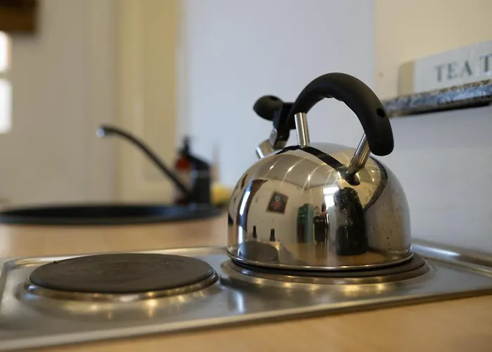 Apartman Cozy Spacious 5 Star In The Heart Of Historic Center Kolozsvár