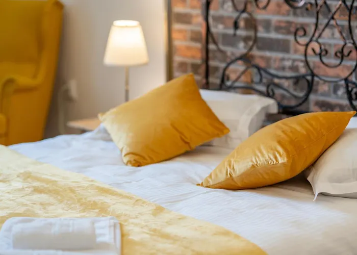 Cozy Spacious 5 Star In The Heart Of Historic Center Cluj-Napoca