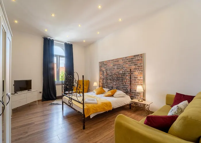 Cozy Spacious 5 Star In The Heart Of Historic Center * Kolozsvár