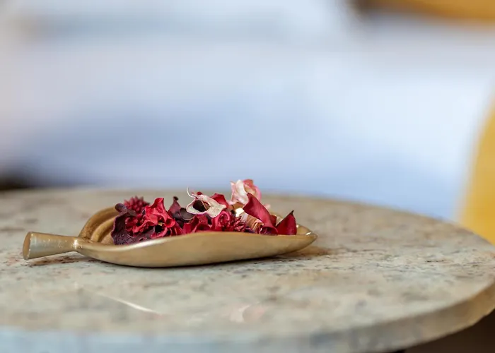 Cozy Spacious 5 Star In The Heart Of Historic Center *