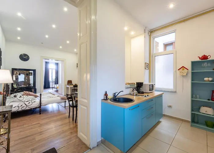 Cozy Spacious 5 Star In The Heart Of Historic Center Apartman Kolozsvár