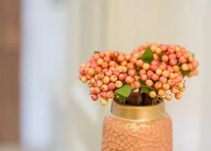 Apartman Cozy Spacious 5 Star In The Heart Of Historic Center Kolozsvár